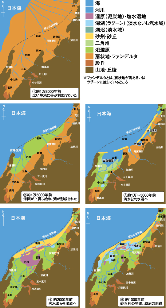 潟の成り立ち | 潟のデジタル博物館（新潟市公式）